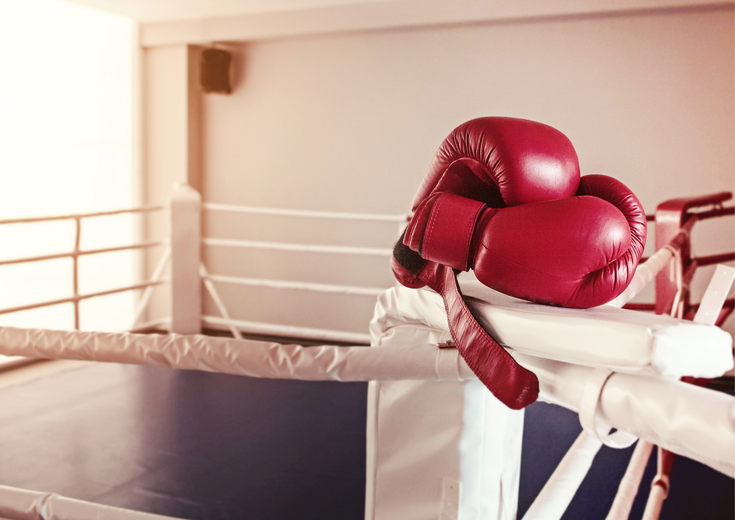 How to Eliminate Boxing Glove Odours for Good